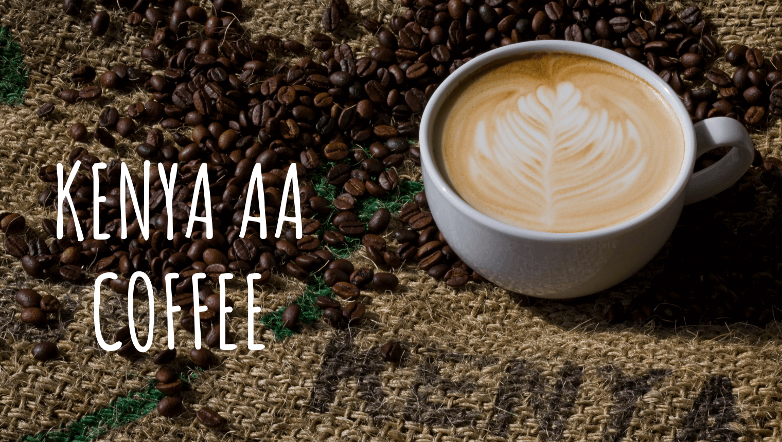Best Kenya AA Coffee