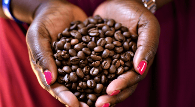 Kenya Coffee Bean