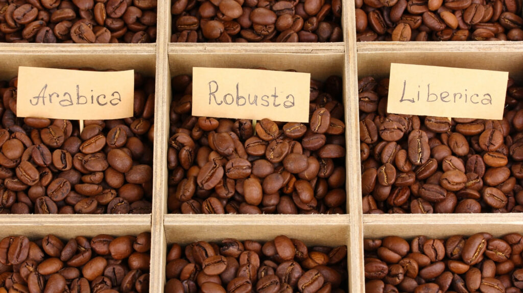 Different types of coffee beans in wooden box (arabica, robusta, liberica)
