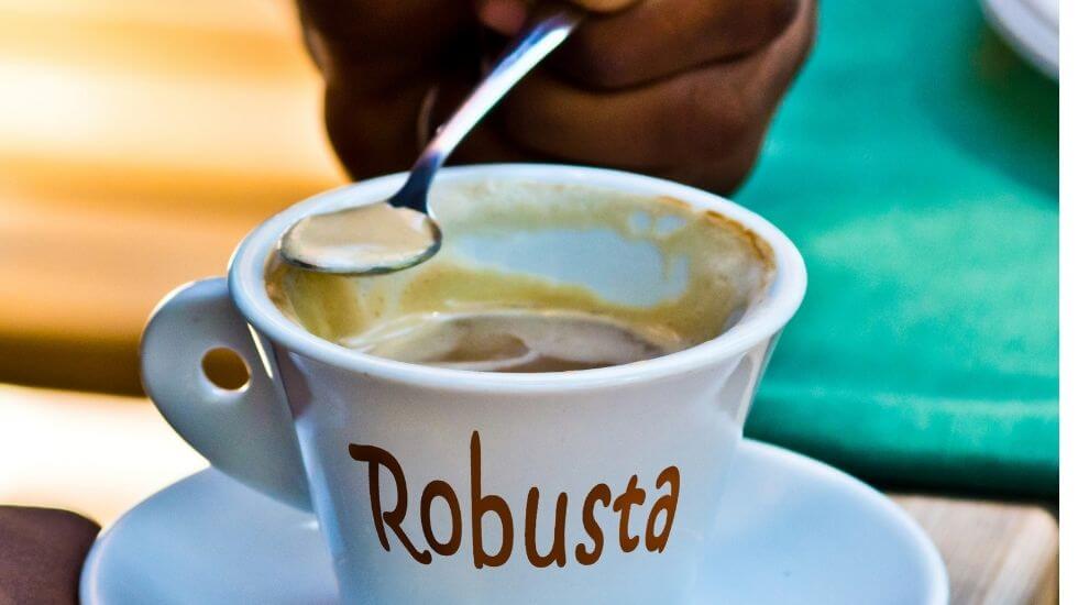 A cup of robusta coffee and milk