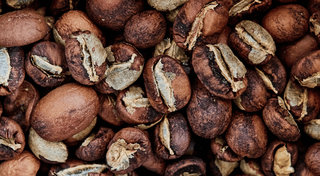 First Stage Coffee Beans