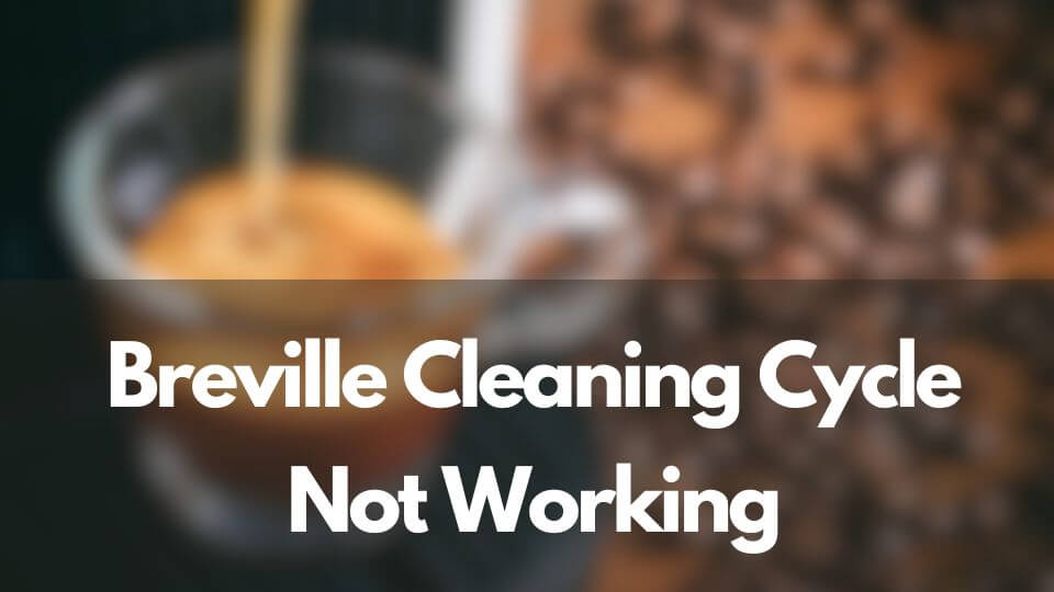 Breville Cleaning cycle not working